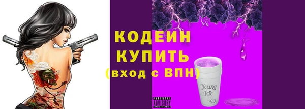 прущие грибы Надым