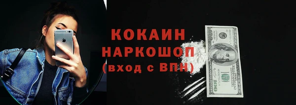 прущие грибы Надым