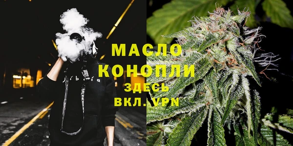 прущие грибы Надым