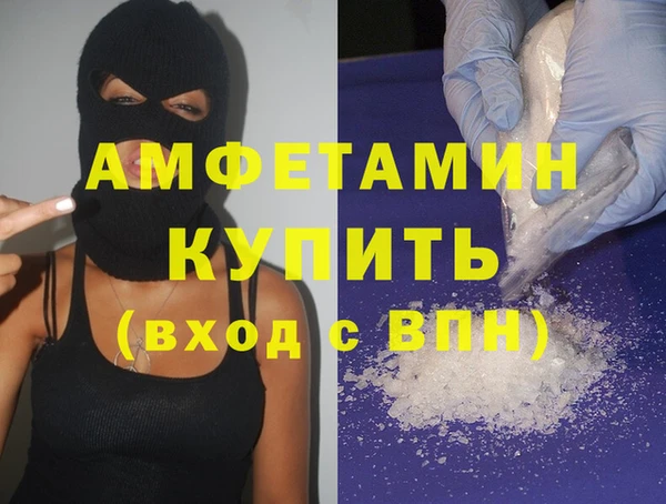 прущие грибы Надым