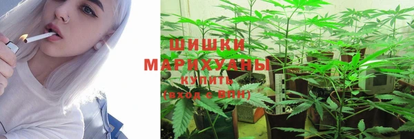 ешки Михайлов