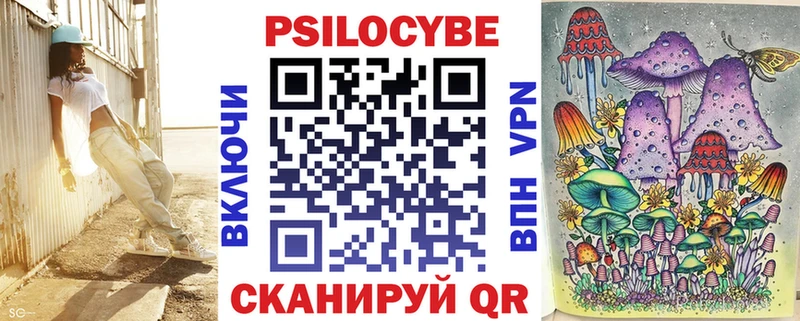 Галлюциногенные грибы Psilocybine cubensis  Прокопьевск 