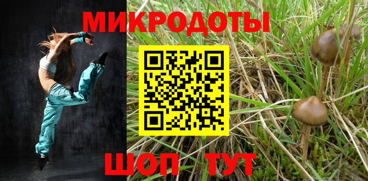 Галлюциногенные грибы Psilocybe Прокопьевск