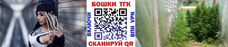 Конопля VHQ  Прокопьевск 
