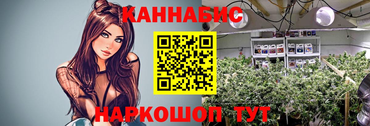 Шишки марихуана конопля  Марихуана Amnesia  Каннабис LSD WEED  Прокопьевск  Конопля конопля 
