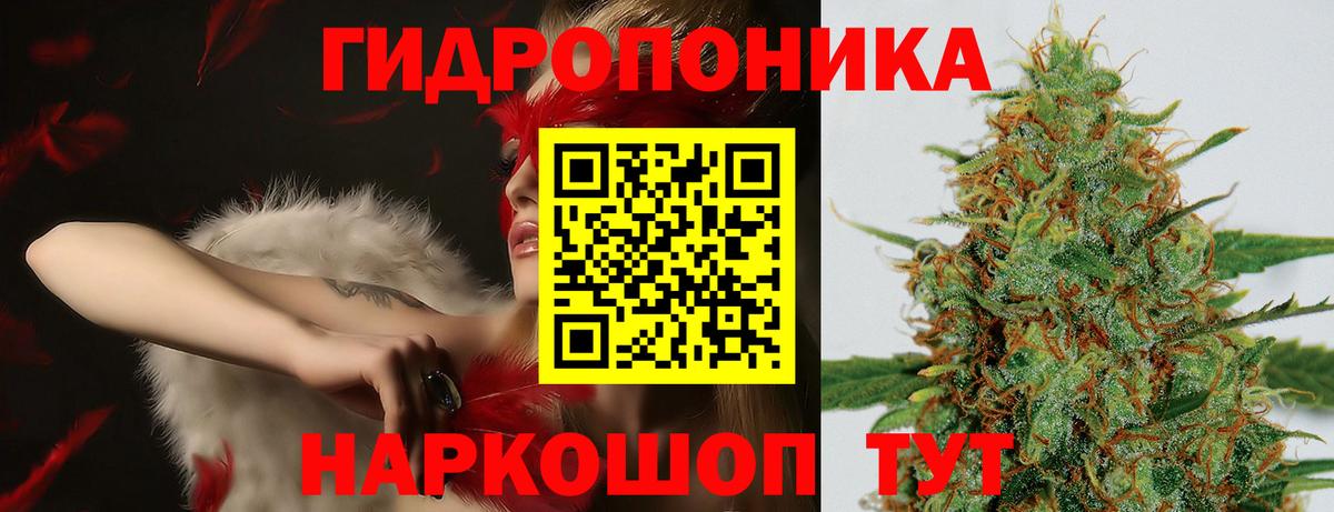 ГАШ Прокопьевск
